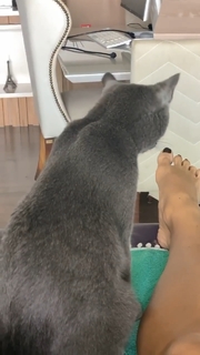 Aline Campos feet photo thumbnail