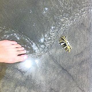 Aline Mineiro feet photo 14