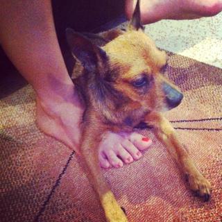 Aline Mineiro feet photo 12