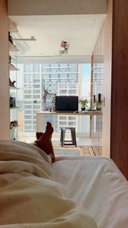 Aline Mineiro feet photo 19