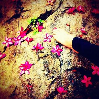 Alinne Moraes feet photo thumbnail