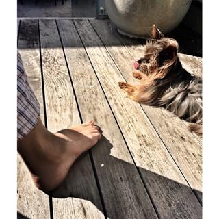 Alinne Rosa feet photo 5