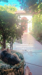 Alison Becker feet photo 5