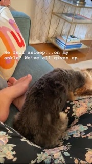 Alison Becker feet photo 13