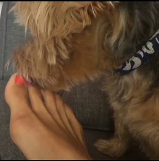 Alison Becker feet photo 10
