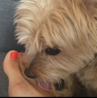 Alison Becker feet photo 9