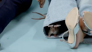 Alison Brie feet photo thumbnail