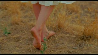 Alison Brie feet photo 18