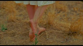 Alison Brie feet photo 17