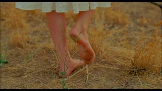 Alison Brie feet photo 16