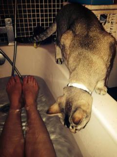 Alison Carroll feet photo 5