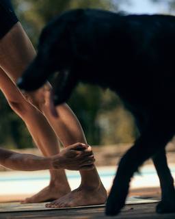 Alison Cossenet feet photo 12