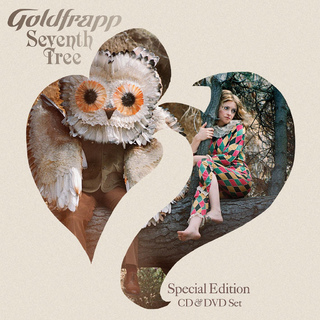 Alison Goldfrapp feet photo 14