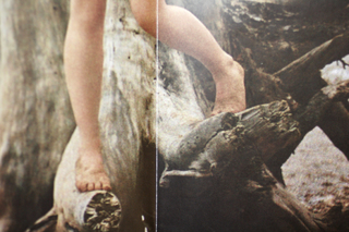 Alison Goldfrapp feet photo 13