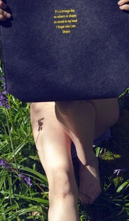 Alison Goldfrapp feet photo 11