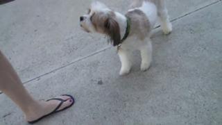 Alison Haislip feet photo 17