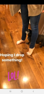 Alison Sweeney feet photo thumbnail