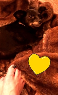 Alison Sweeney feet photo thumbnail