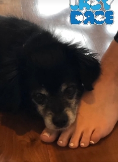 Alison Sweeney feet photo thumbnail