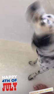 Alison Sweeney feet photo thumbnail