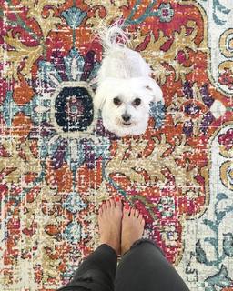 Alison Victoria feet photo thumbnail