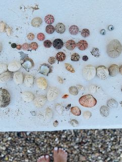 Alison Victoria feet photo thumbnail