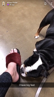 Alissa Violet feet photo thumbnail