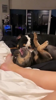 Alissa Violet feet photo thumbnail