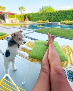 Aliya-Jasmine Sovani feet photo 6