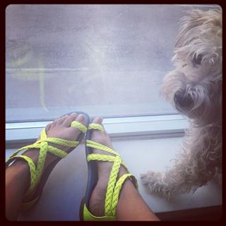 Aliya-Jasmine Sovani feet photo 19