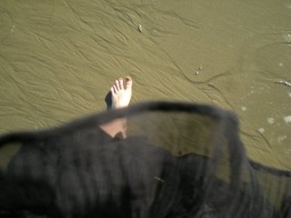 Allegra Edwards feet photo 8