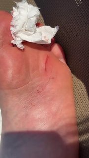 Allie Sherlock feet photo 2