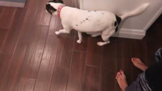 Allie Wes feet photo 5