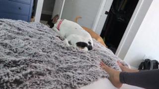 Allie Wes feet photo 1