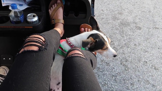 Allie Wes feet photo 15