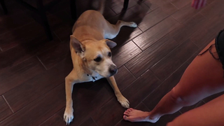 Allie Wes feet photo 18