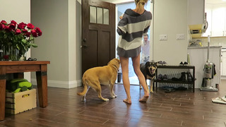 Allie Wes feet photo 17