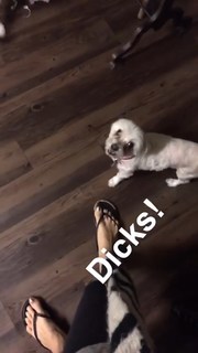 Allison Paige feet photo 15