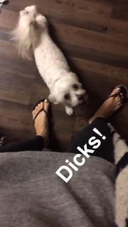 Allison Paige feet photo 14