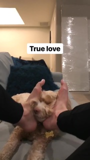 Allison Raskin feet photo thumbnail