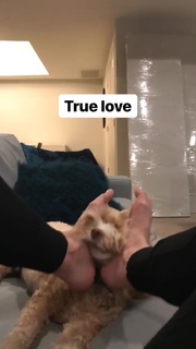 Allison Raskin feet photo thumbnail