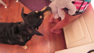 Allison Speed feet photo thumbnail