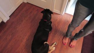 Allison Speed feet photo thumbnail