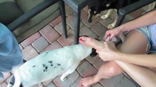 Allison Speed feet photo thumbnail