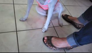Allison Speed feet photo thumbnail