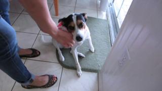 Allison Speed feet photo thumbnail