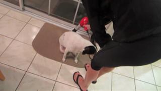 Allison Speed feet photo thumbnail