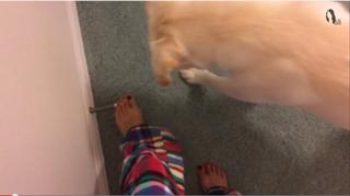 Allison Speed feet photo thumbnail