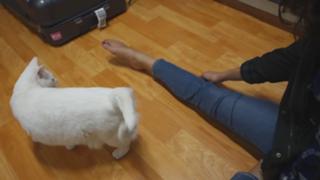 Allison Speed feet photo thumbnail
