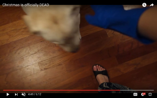 Allison Speed feet photo thumbnail